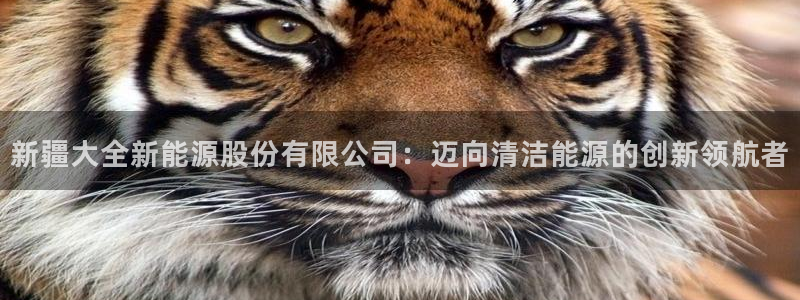 l新宝gg