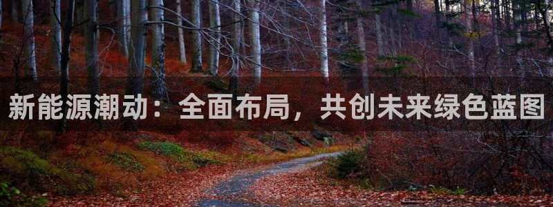 新宝gg如何做到总代理