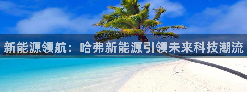 新宝gg介绍：新能源领航：哈弗新能源引领