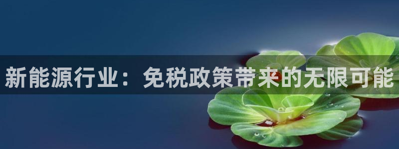 新宝gg真的：新能源行业：免税政策带来的