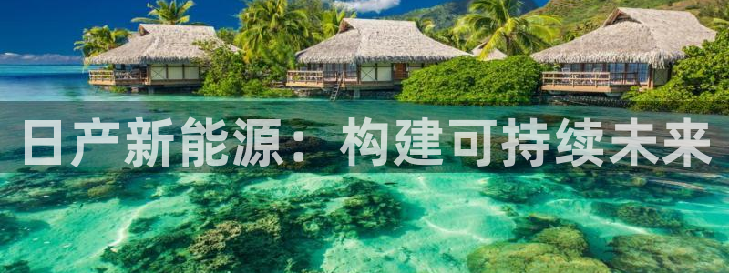新宝gg网站：日产新能源：构建可持续未来