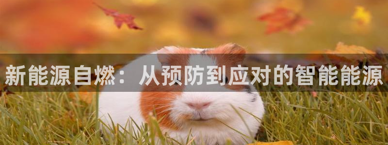 新宝gg娱乐主管q42873