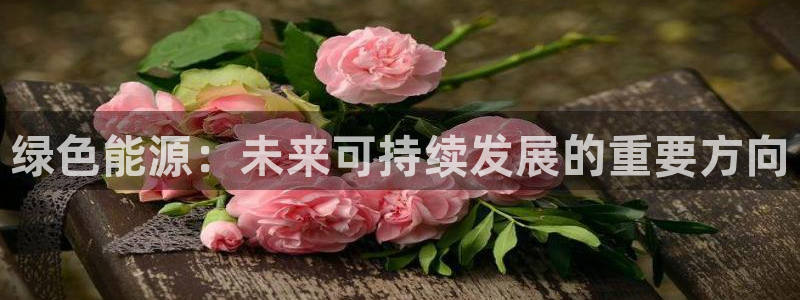 下载新宝gg怎么下载