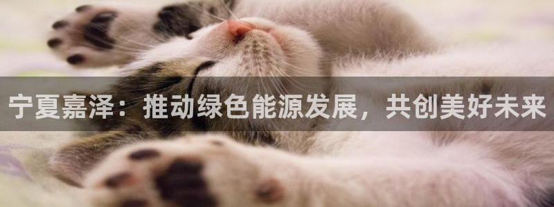 新宝GG网页：宁夏嘉泽：推动绿色能源发展