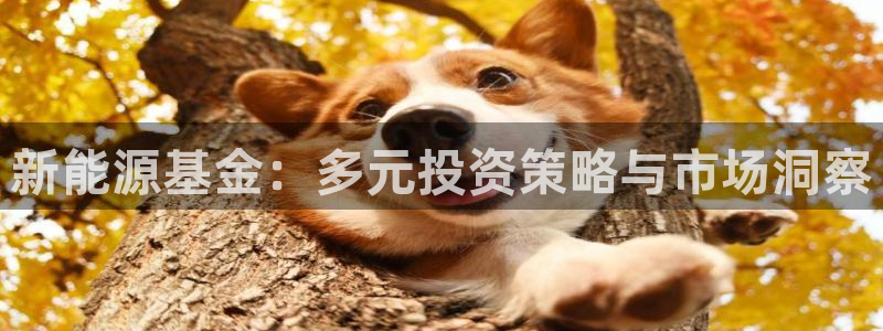 宝GG账78778新宝GG俪78778