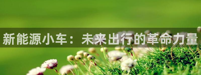 新宝 gg平台:新能源小车:未来出行的革命力量