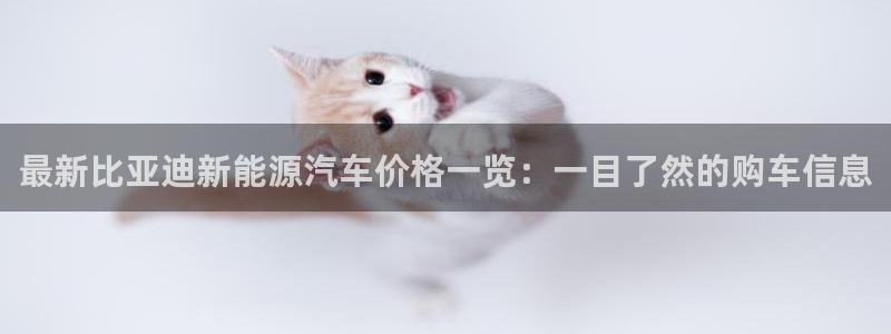 新宝gg娱乐1956：最新比亚迪新能源汽