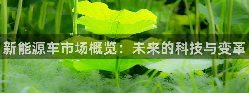 新宝gg返点1956是多少