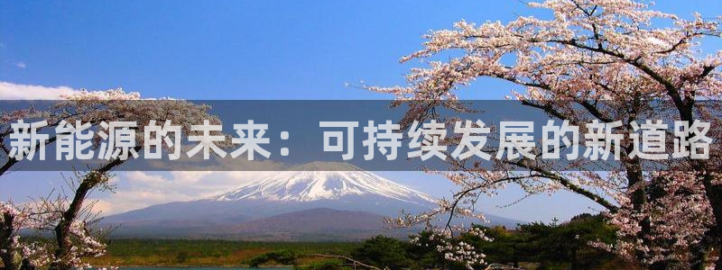 新宝gg作弊:新能源的未来:可持续发展的新道路