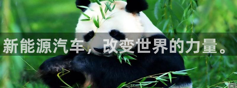 新宝gg赞颂63390:新能源汽车,改变世界的力量。
