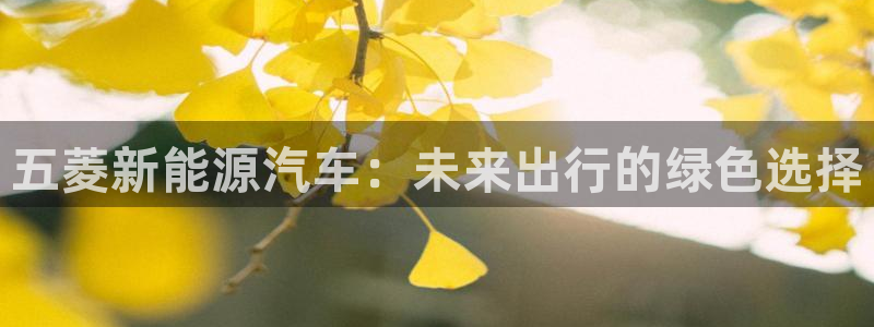 新宝GG官方域名