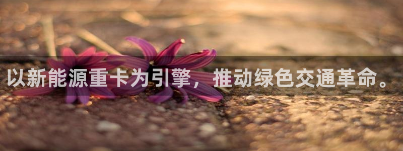 新宝gg扣钱：以新能源重卡为引擎，推动绿