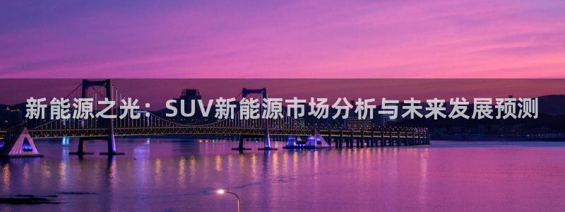 新宝gg赚钱：新能源之光：SUV新能源市