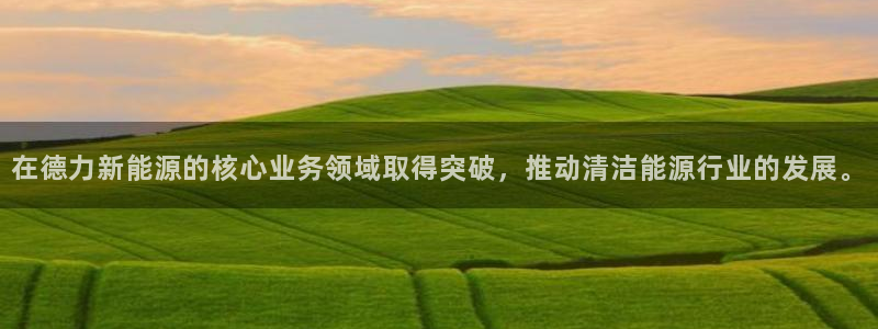 新宝gg龙虎规则：在德力新能源的核心业务