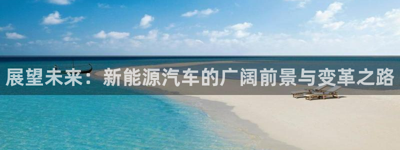 新宝gg 登陆：展望未来：新能源汽车的广