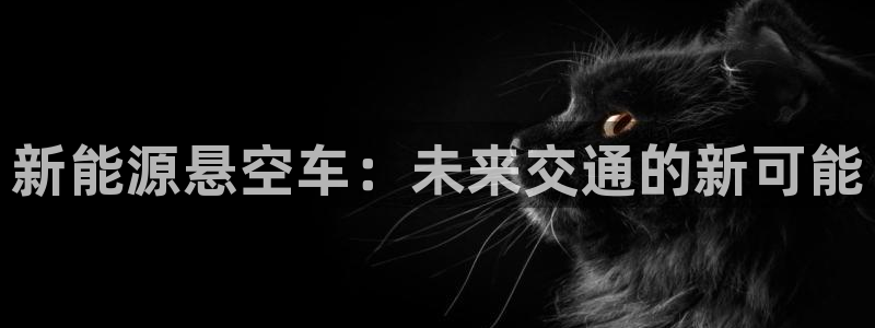 新宝gg是新宝几：新能源悬空车：未来交通