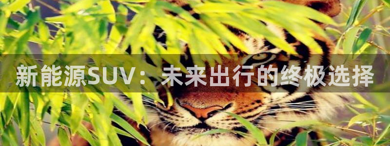 新宝gg注册jhjinde：新能源SUV