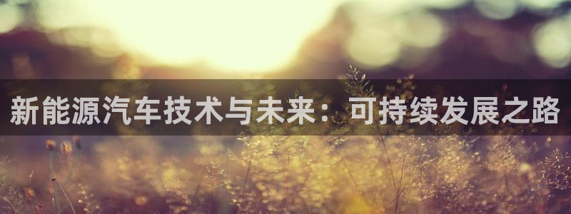 新宝gg开奖结果：新能源汽车技术与未来：