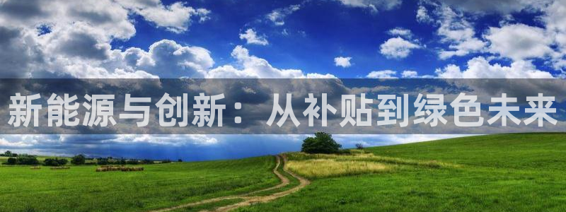 新宝哈哈gg：新能源与创新：从补贴到绿色