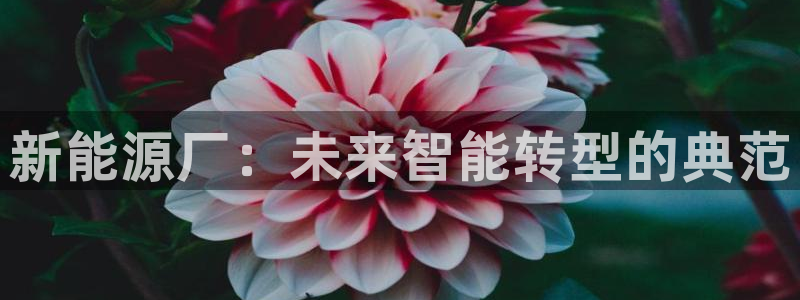 新宝GG最高返点多少：新能源厂：未来智能