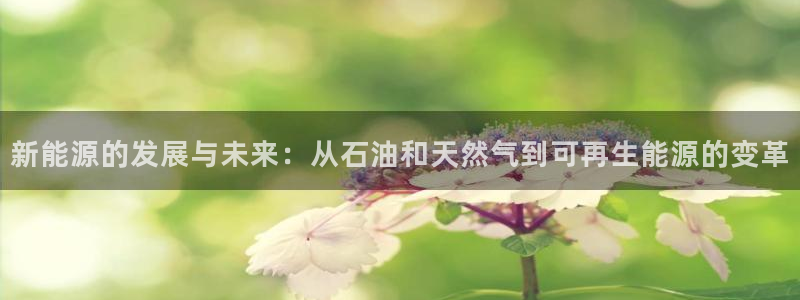 新宝GG的老板：新能源的发展与未来：从石