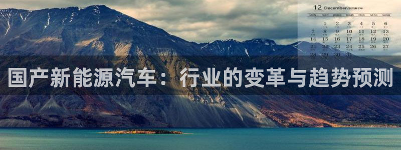 新宝gg提点：国产新能源汽车：行业的变革