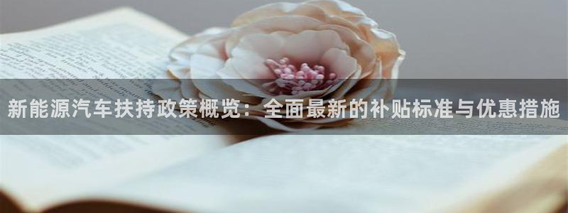 新宝GG用哪个网址登录：新能源汽车扶持政