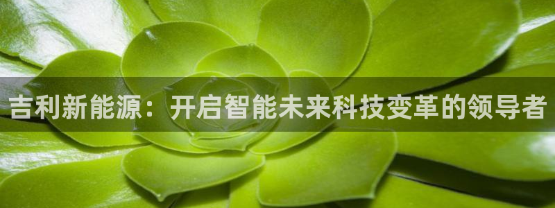 新宝gg注册q 26880：吉利新能源：