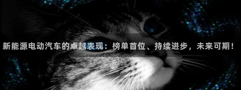 新宝gg注册q 26880：新能源电动汽