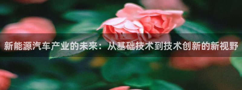 新宝gg如何：新能源汽车产业的未来：从基