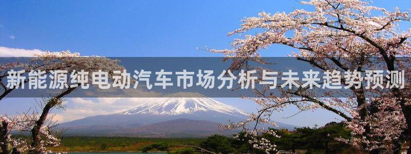 新宝gg：新能源纯电动汽车市场分析与未来