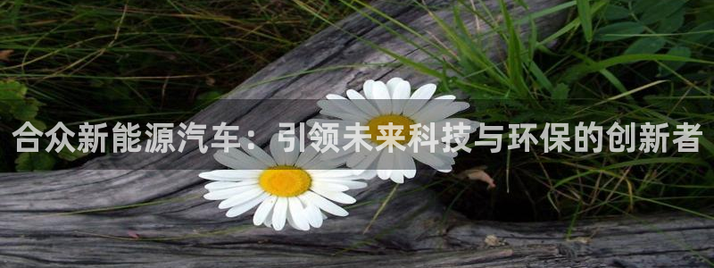 xbgg新宝gg：合众新能源汽车：引领未