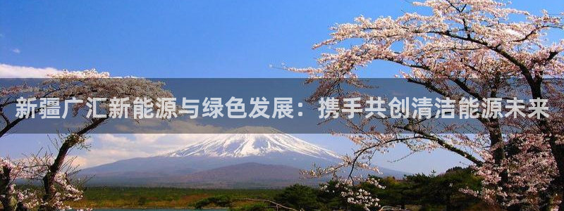 新宝gg注册q -26880：新疆广汇新